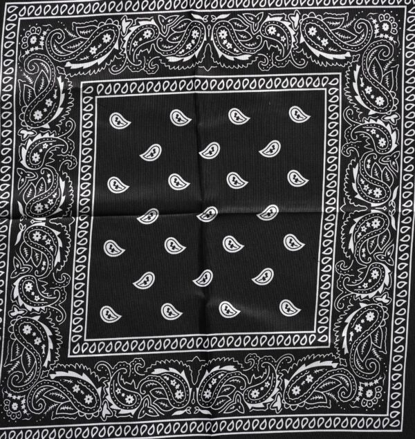 Imported Bandana 3 Colour Combo - Image 3
